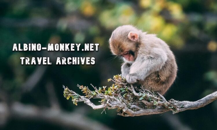 albino-monkey.net travel archives